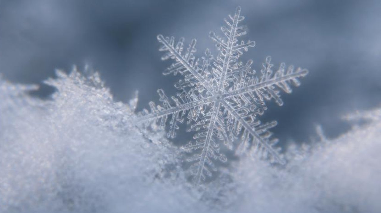 Snow crystal