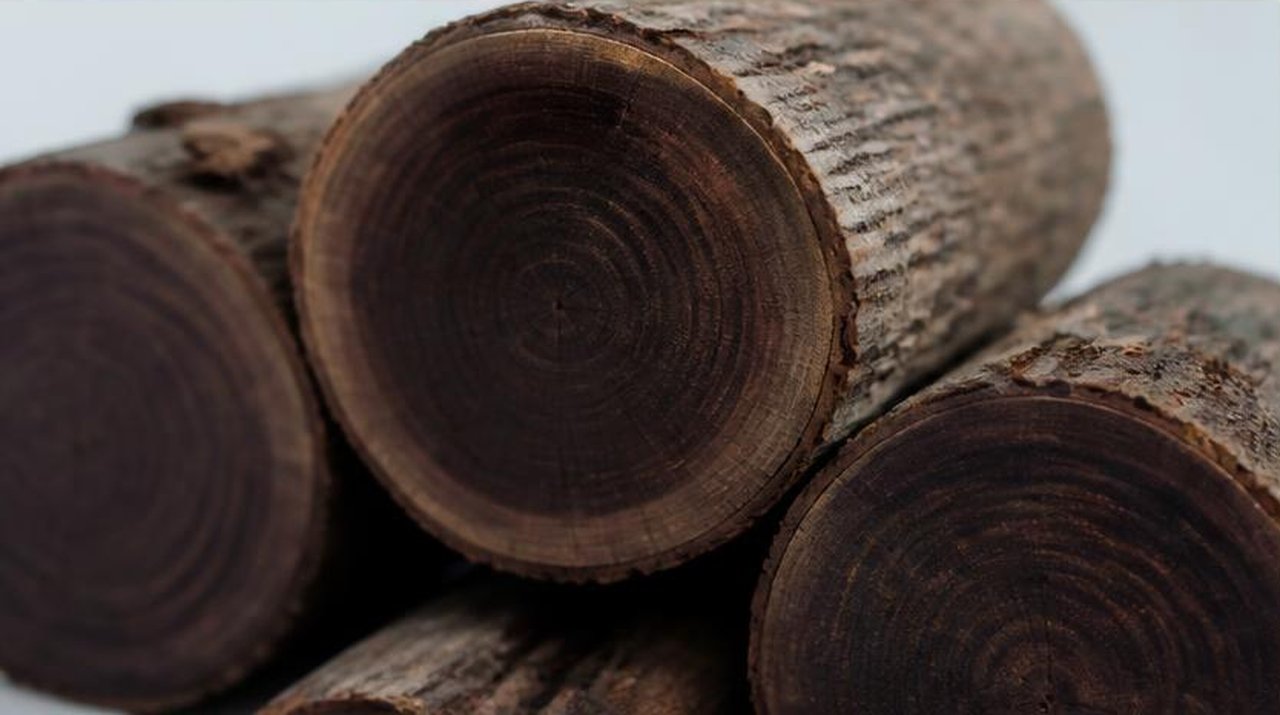 Desert wood