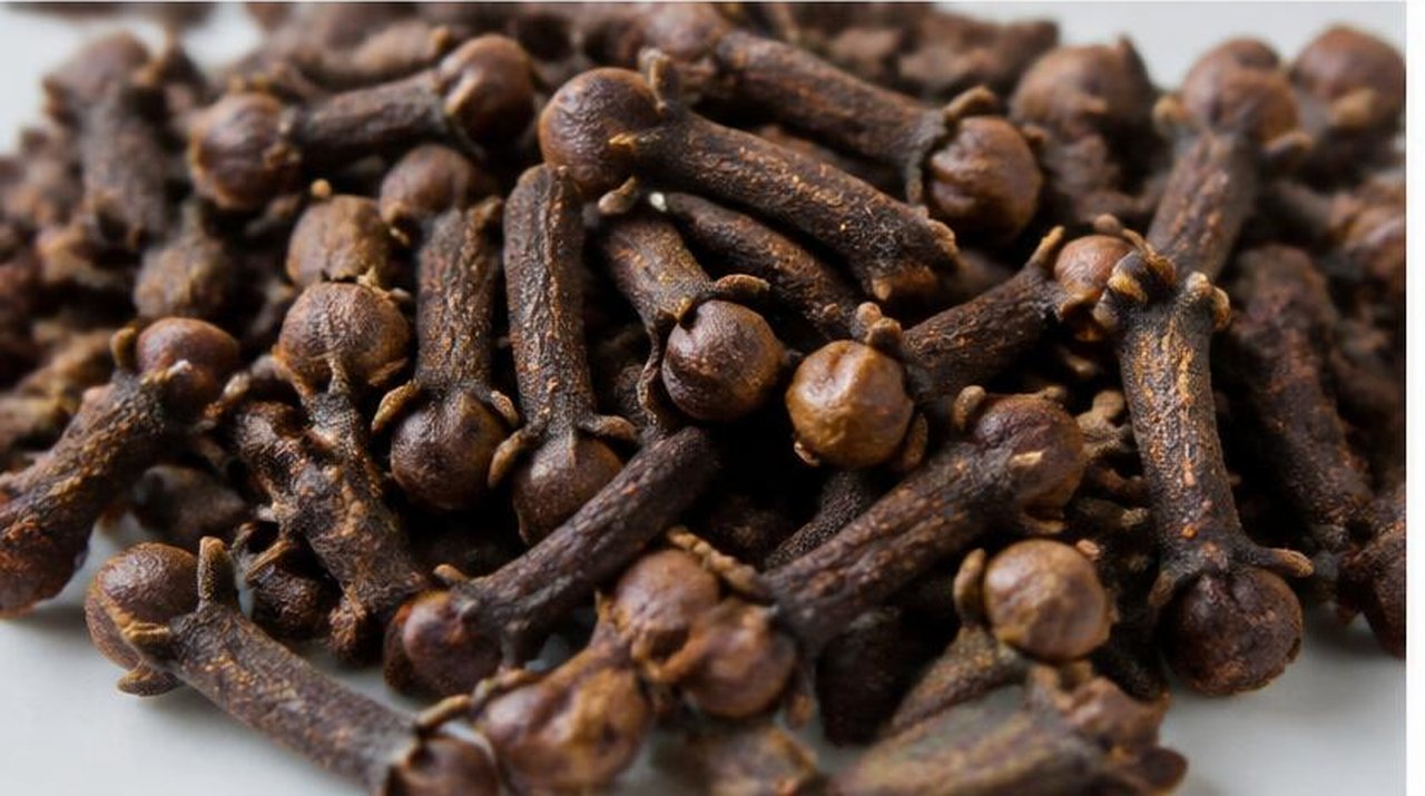 Clove bud