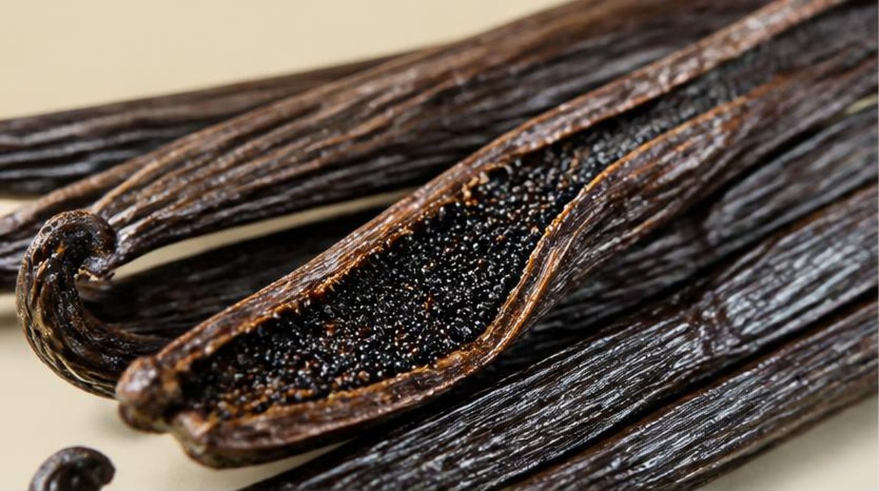 Vanilla absolute